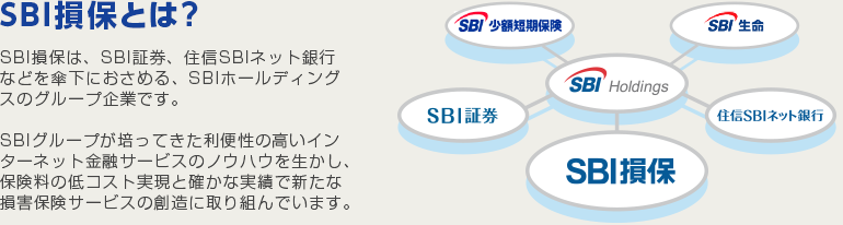 SBI損保とは？SBI損保は、SBI証券、住信SBIネット銀行などを傘下におさめる、SBIホールディングスのグループ企業です。SBIグループが培ってきた利便性の高いインターネット金融サービスのノウハウを生かし、保険料の低コスト実現と確かな実績で新たな損害保険サービスの創造に取り組んでいます。