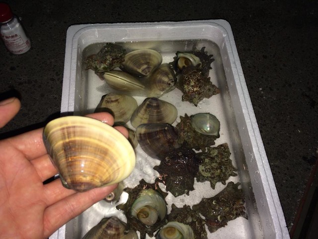 太田 大輔さんのブロマイド