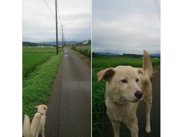 松本 幸久さんのブロマイド