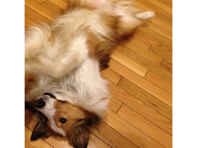 加藤 繁芳さんのブロマイド