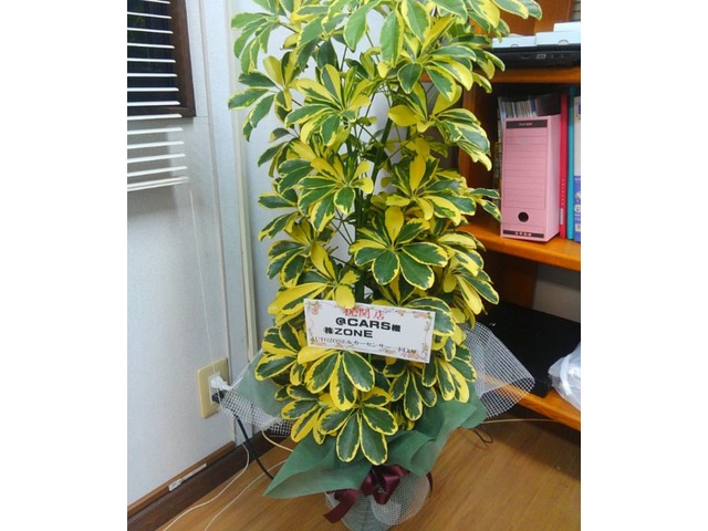 うえぽんさんのブロマイド