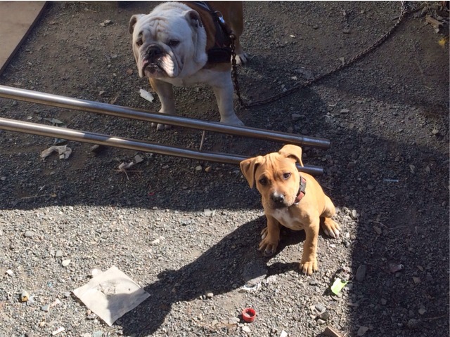 藤浦貴明さんのブロマイド