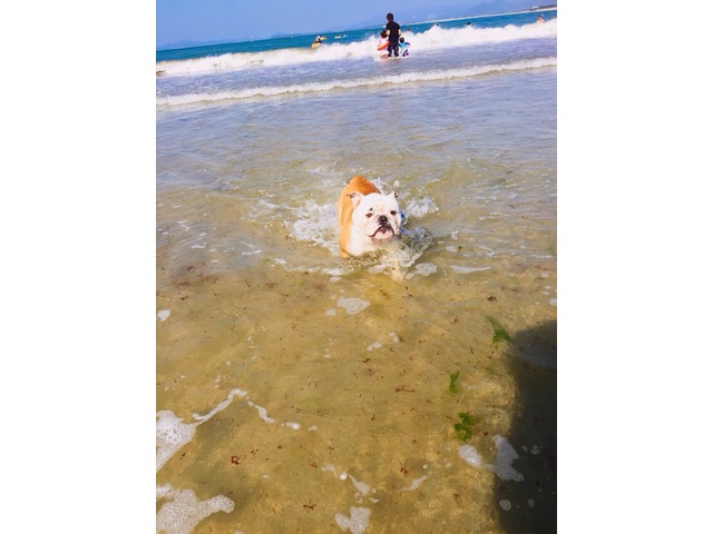 藤浦貴明さんのブロマイド