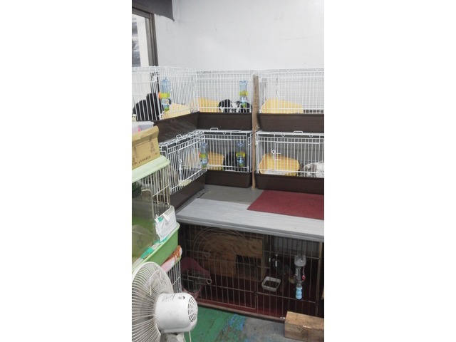 マスターさんのブロマイド