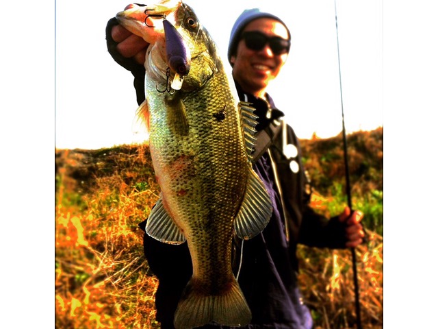 三島 裕章さんのブロマイド