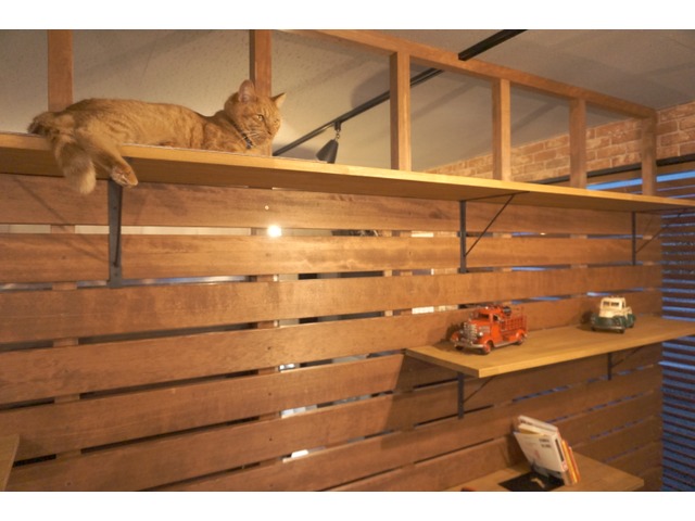 千代丸さんのブロマイド