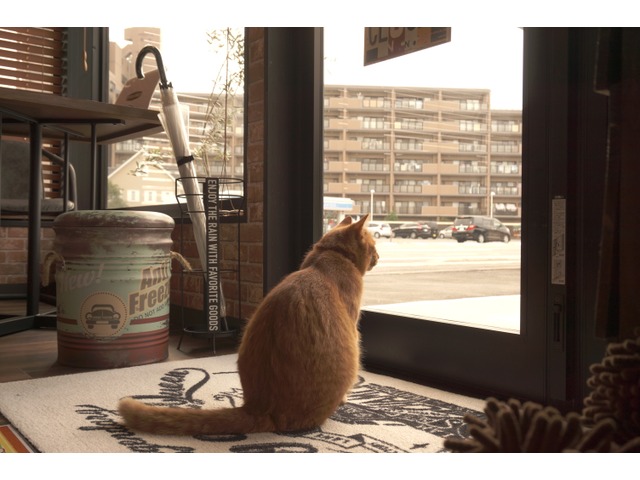 千代丸さんのブロマイド