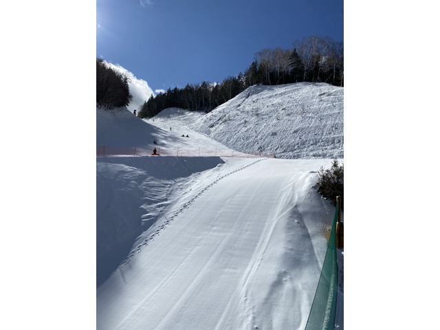 新井さんのブロマイド