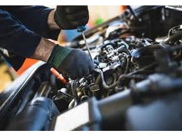 モウさんのブロマイド