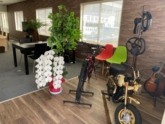 代表さんのブロマイド