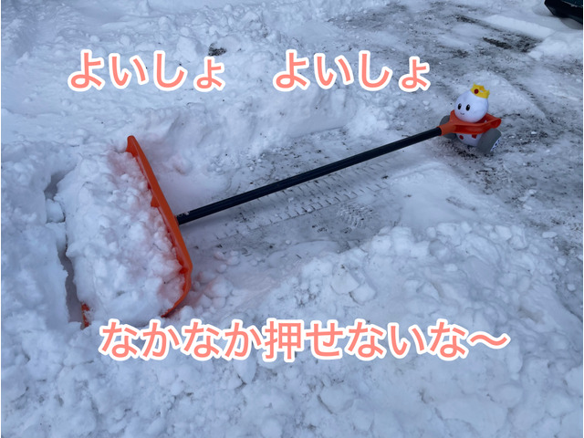のーすくんさんのブロマイド
