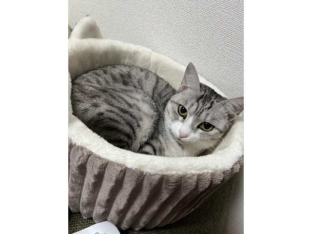 北川 一磨さんのブロマイド