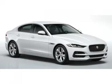 XEの車買取相場