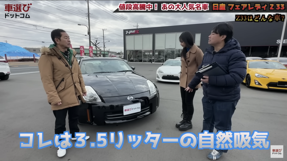 Z33