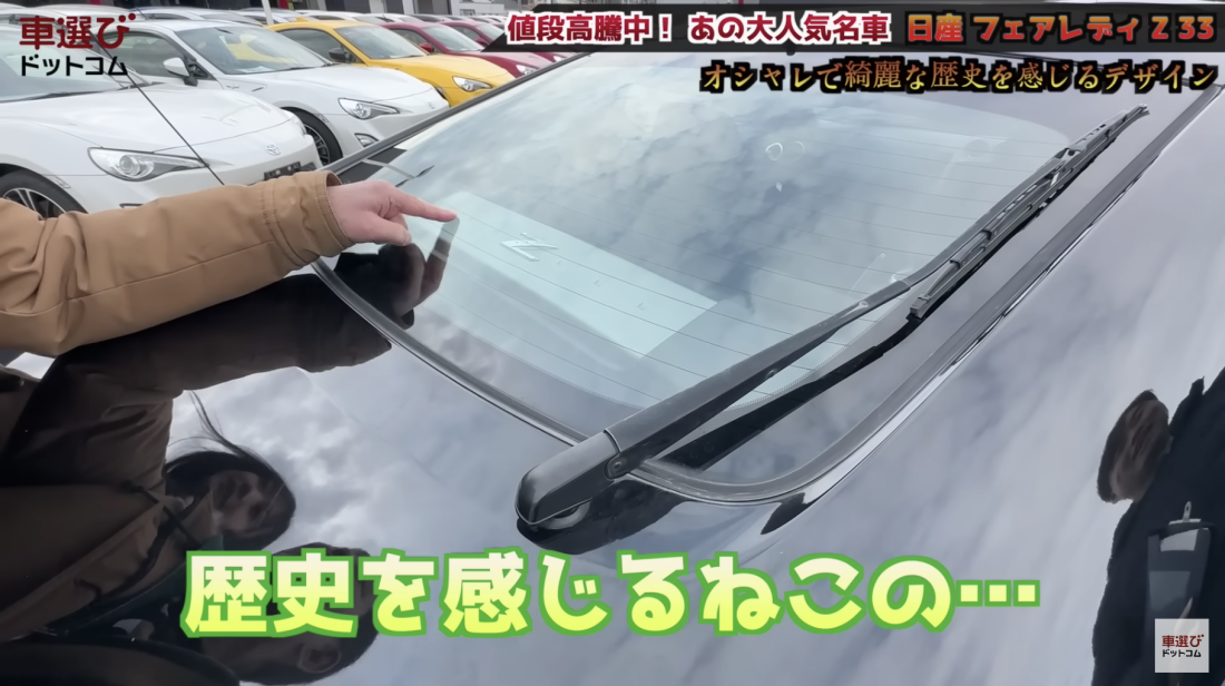 Z33
