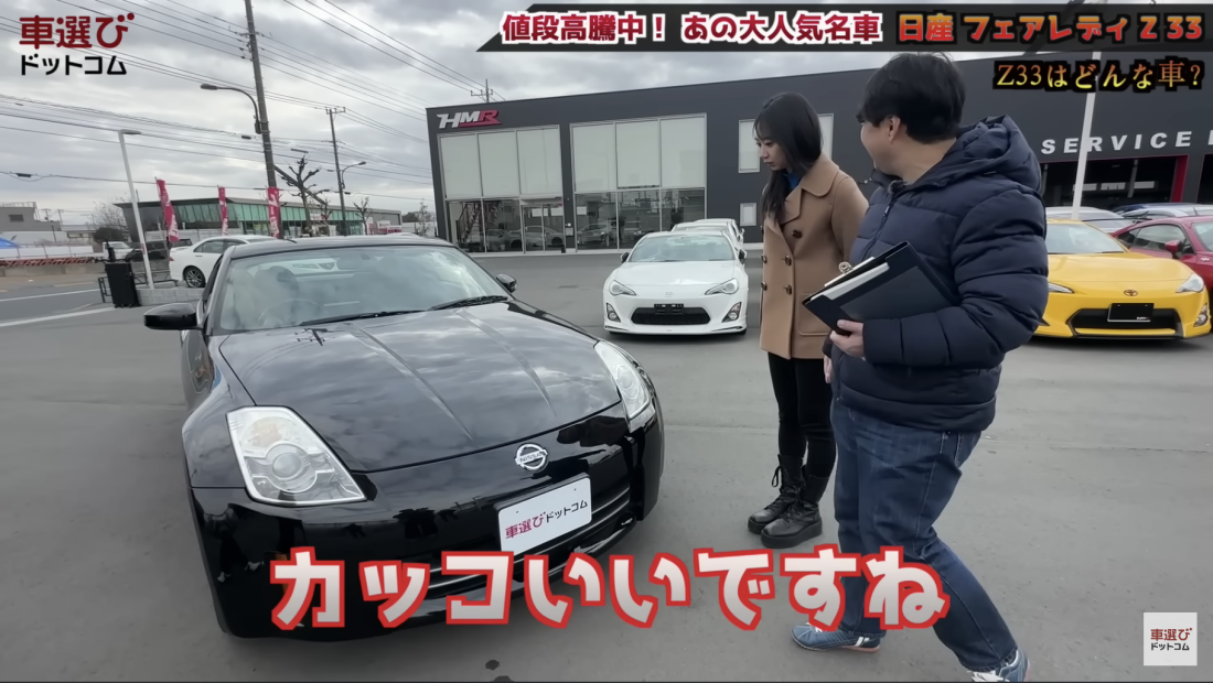 Z33