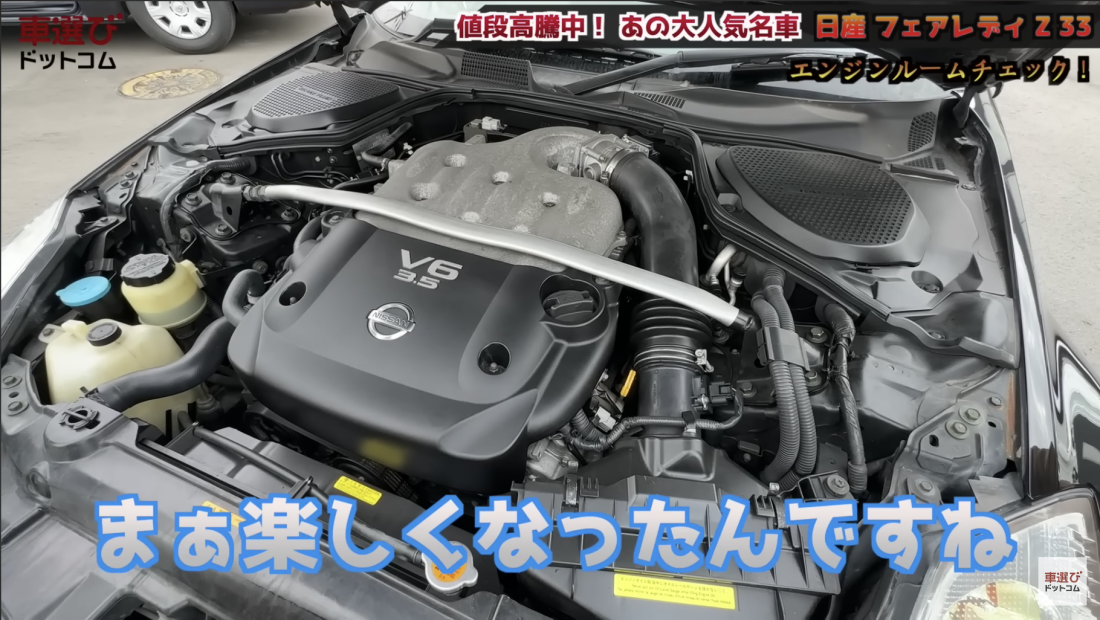 Z33