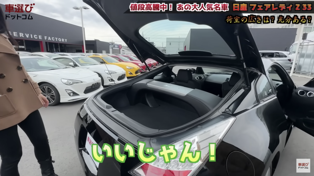 Z33