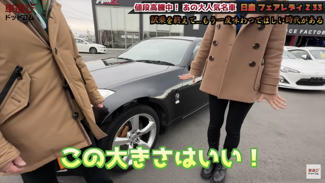 Z33