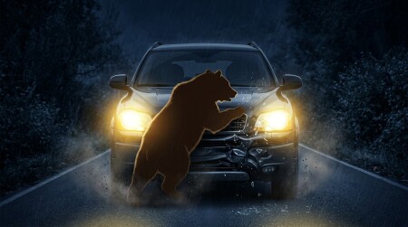 クマと車の衝突事故のイメージ
